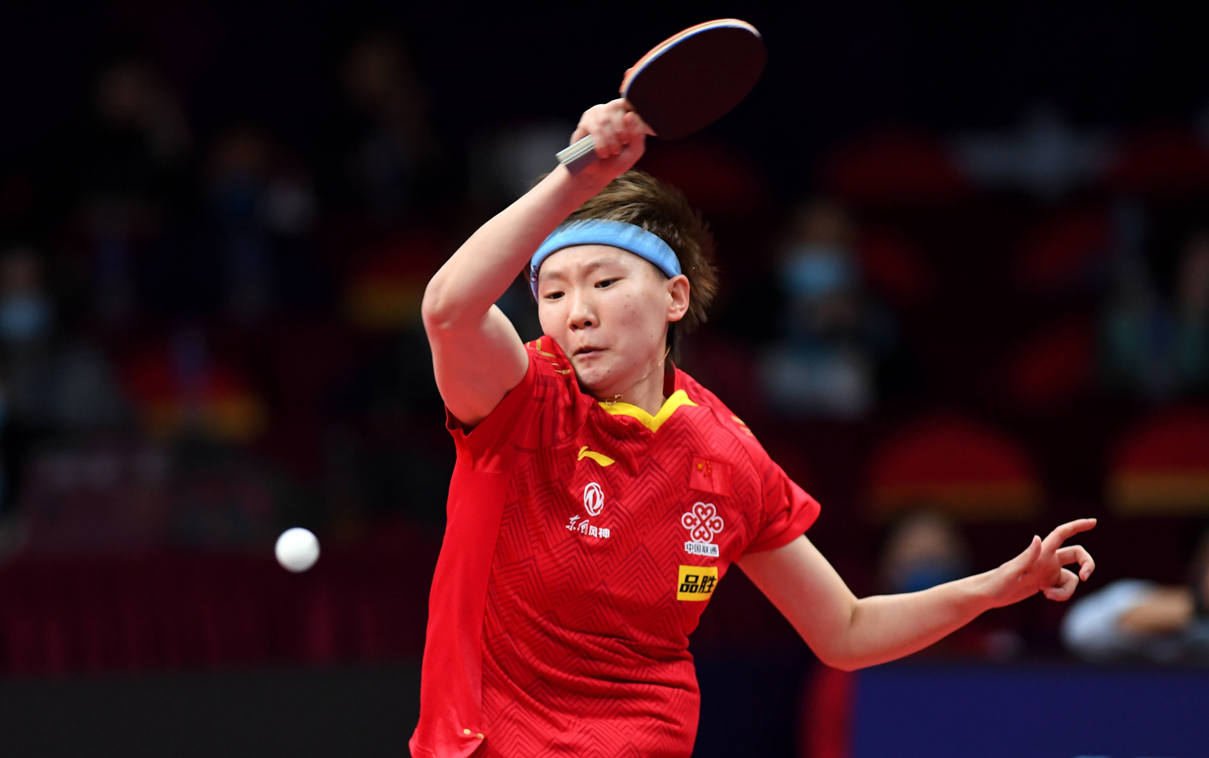 提供了新的 提供了新的