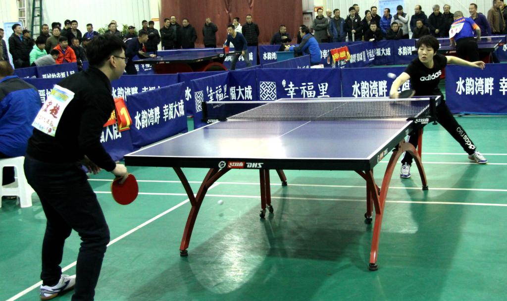 鱼和张伯伦 鱼和张伯伦